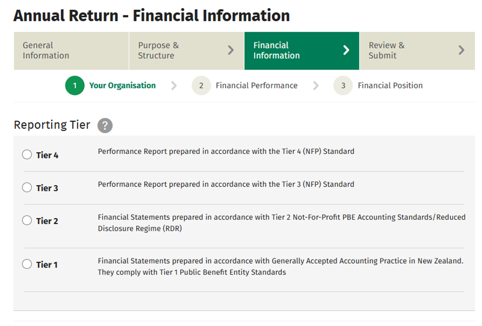 Annual Return - Fin information screenshot